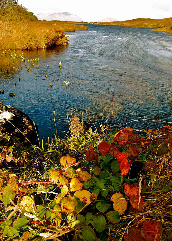 Autumn River Poster featuring the photograph Autumn River by HweeYen Ong