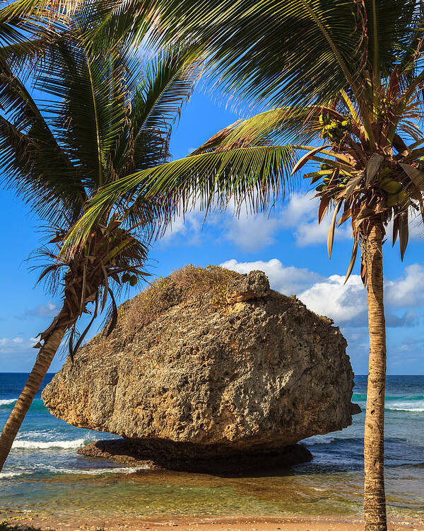 Barbados Poster featuring the photograph Barbados Beach by Raul Rodriguez