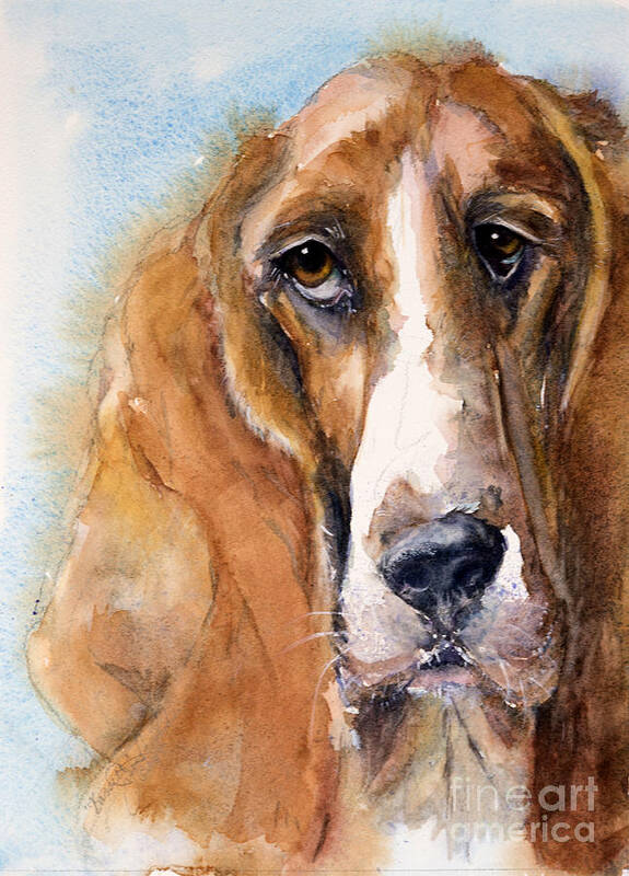 Dog Poster featuring the painting Basset Hound by Judith Levins
