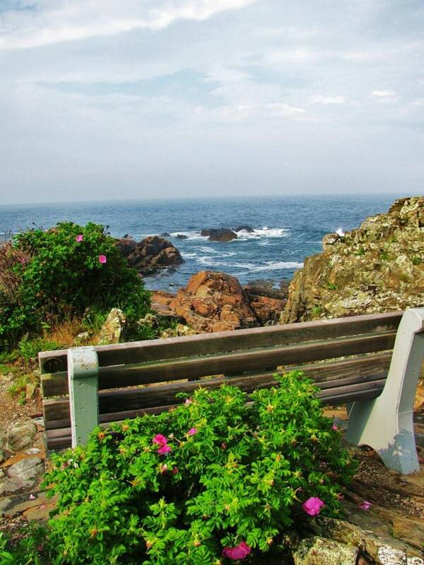 Ogunquit Poster featuring the photograph Marginal Way by Diane Valliere