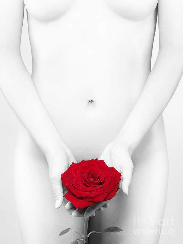Black guy holding flower infront of naked woman art Black And White Nude Woman With A Red Rose Poster By Maxim Images Prints