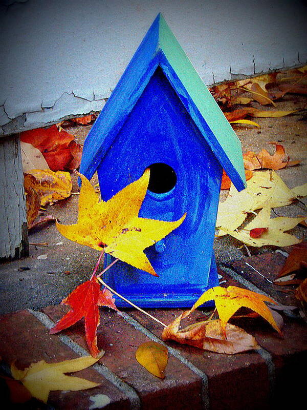 Bird House Poster featuring the photograph Blue Bird House by Rodney Lee Williams