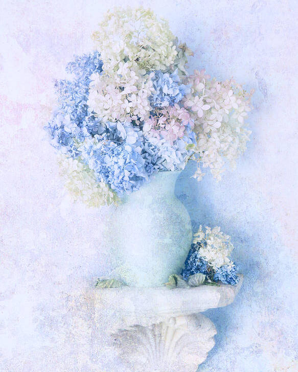 Hydrangea Poster featuring the photograph Blue Hydrangea by Theresa Tahara