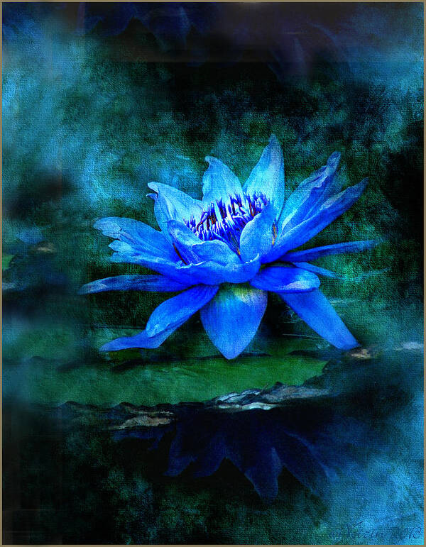 Blue Mist - Bill Voizin Poster featuring the photograph Blue Mist by Bill Voizin 
