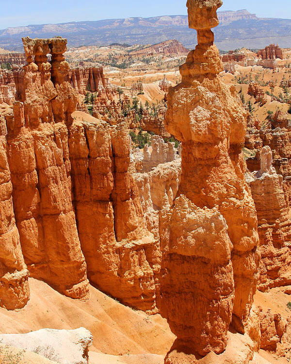 Desert Poster featuring the photograph Bryce Canyon 2 by Mike McGlothlen