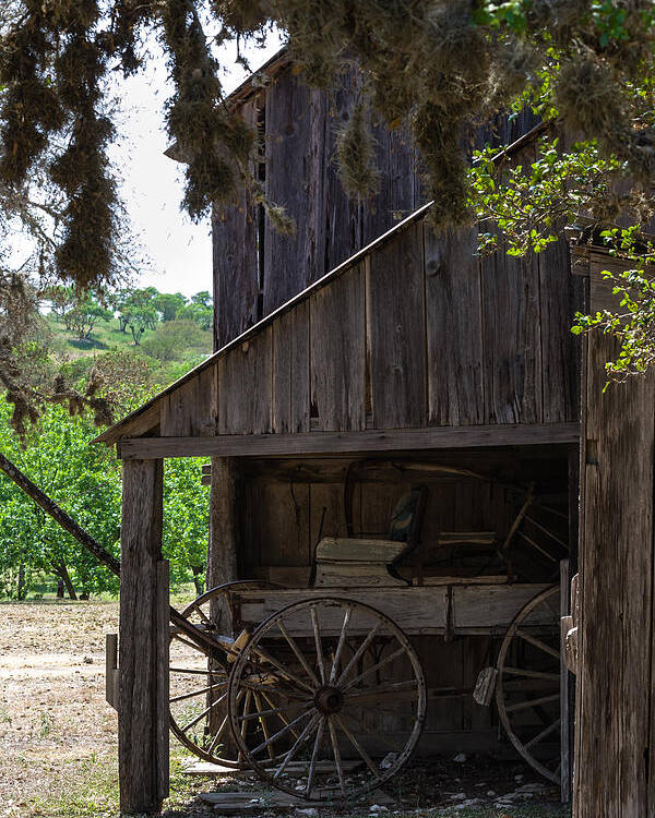 Barn Poster featuring the photograph Buggy in the Barn by Ed Gleichman