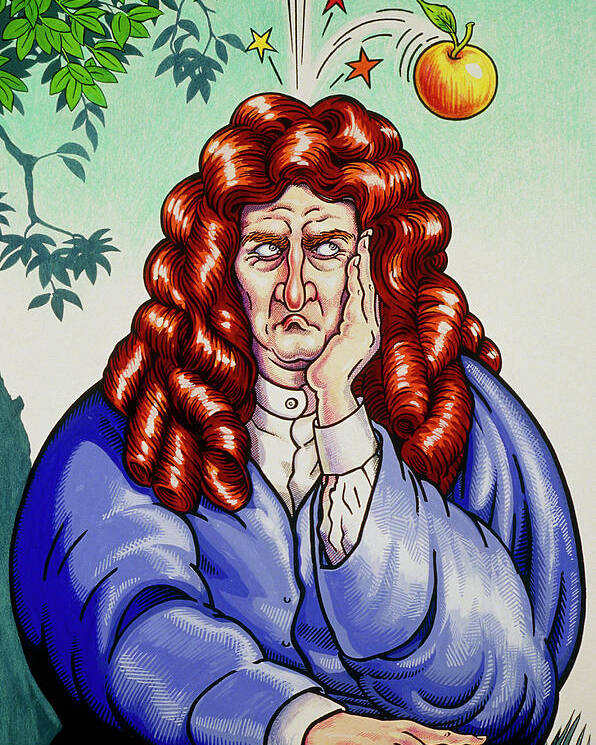 Newton Poster featuring the photograph Cartoon Of Isaac Newton by Mikki Rain/science Photo Library