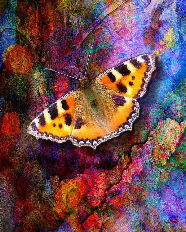 Colorful Poster featuring the digital art Colorful butterfly by Lilia D