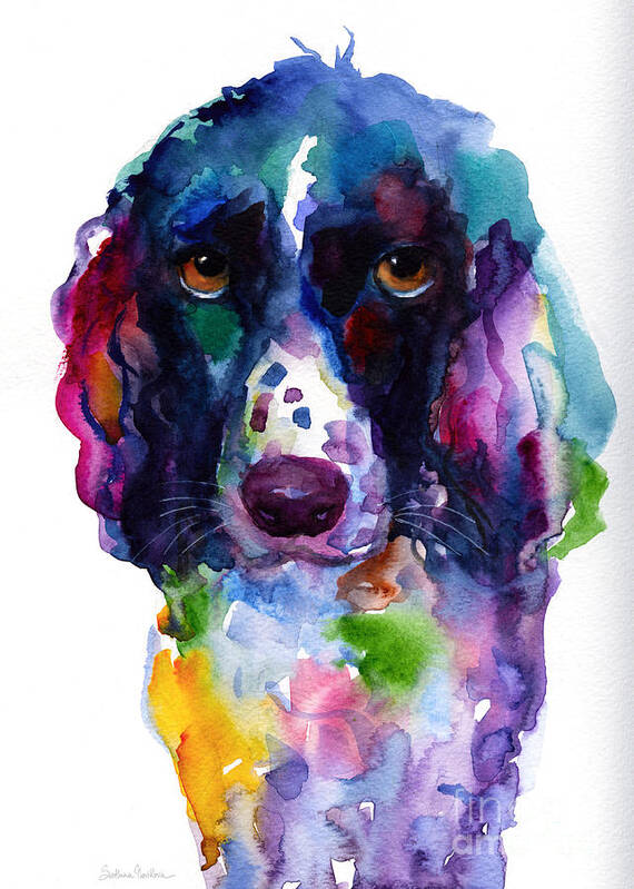 Hunter Dog Poster featuring the painting Colorful English Springer Setter Spaniel dog portrait art by Svetlana Novikova