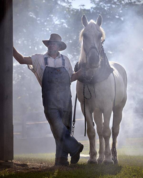 Horse Poster featuring the photograph Covered in Smoke by Don Schroder