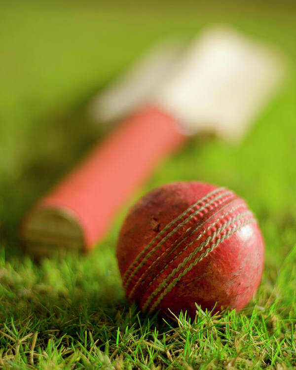 Bat and Ball of Cricket Game  720x1280 resolution wallpaper