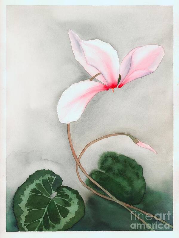 Floral Poster featuring the painting Cyclamen Dancer by Hilda Wagner