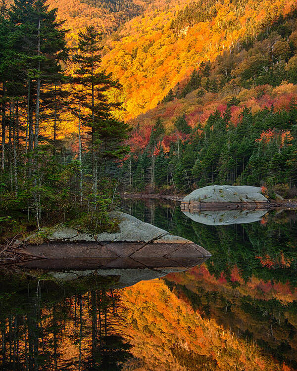 Beaver Pond Poster featuring the photograph Dawns foliage reflection by Jeff Folger