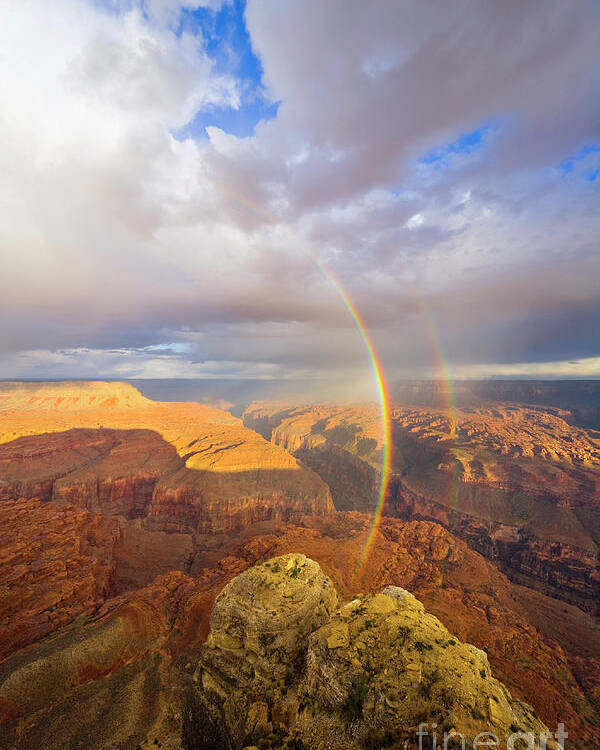 00345498 Poster featuring the photograph Rainbow at Kanab Pt, Grand Canyon by Yva Momatiuk John Eastcott