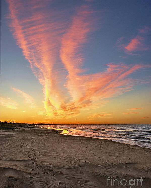Beach Poster featuring the photograph Fire in the Sky by Brett Maniscalco
