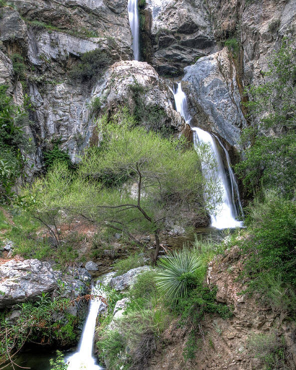 Waterfall Poster featuring the photograph Fish Canyon Falls by Eddie Yerkish