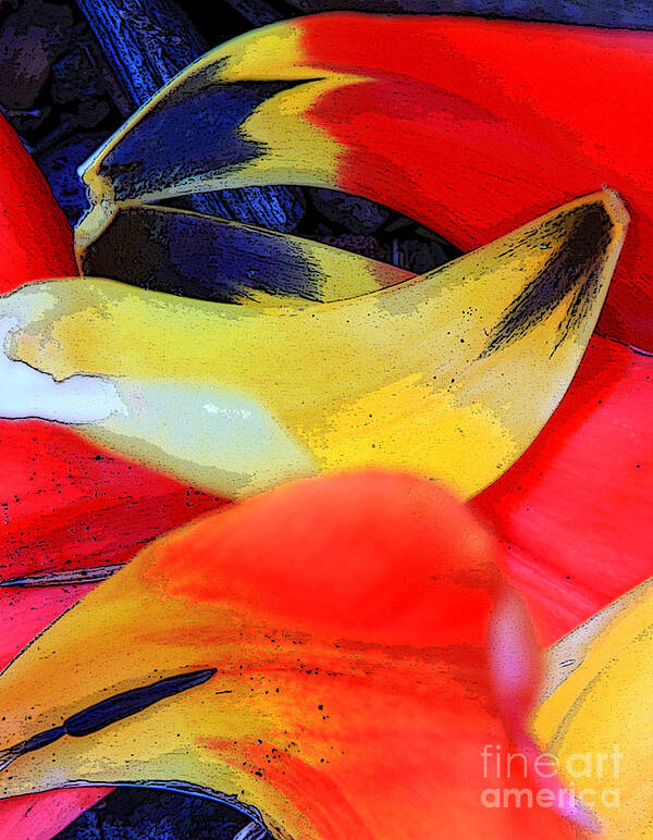 Color Poster featuring the photograph Flowing Colors 2 by Jeanette French