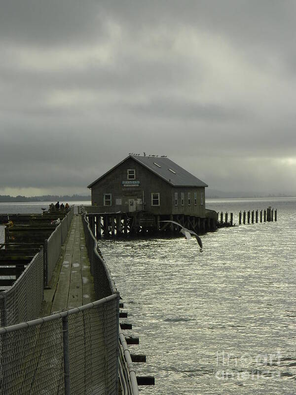 Nature Poster featuring the photograph Garibaldi Pier 2 by Gallery Of Hope 