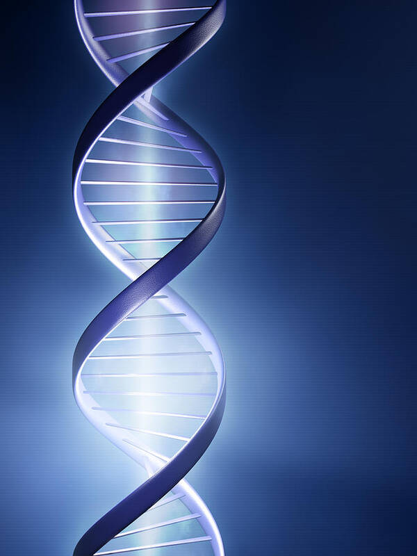 Dna Poster featuring the photograph DNA Technology by Johan Swanepoel