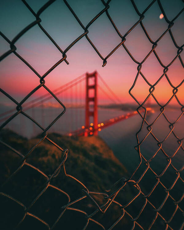 Bridge Poster featuring the photograph Golden Gate Caged by David George