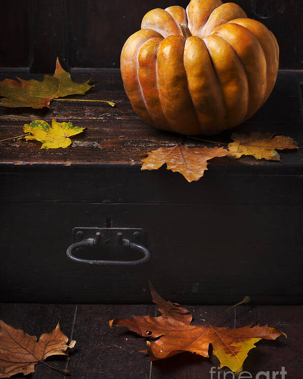Halloween Poster featuring the photograph Halloween Pumpkin by Jelena Jovanovic