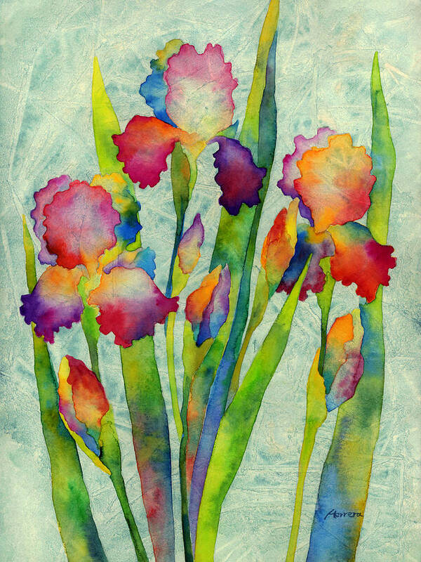 Iris Poster featuring the painting Iris Elegance on Green by Hailey E Herrera