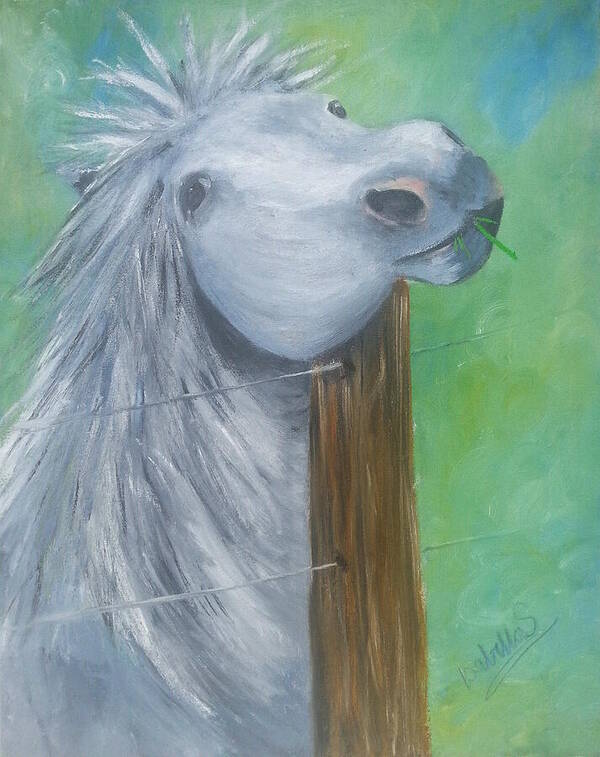 Horses Poster featuring the painting Little Grey Has An Itch by Abbie Shores