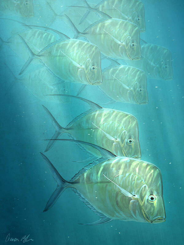 Fish Poster featuring the digital art Lookdowns by Aaron Blaise