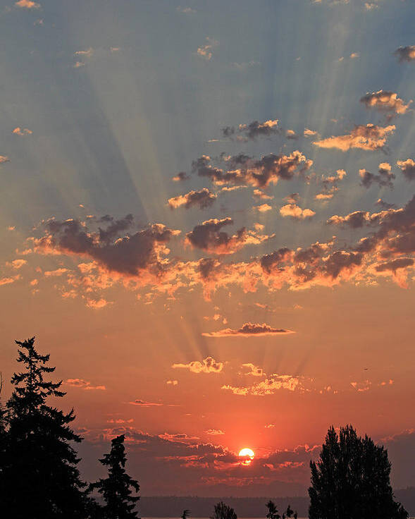 Sunrise Poster featuring the photograph Morning Rays by E Faithe Lester