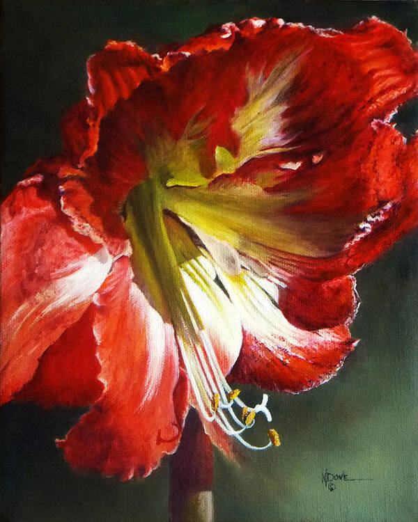 Mary Dove Art Poster featuring the painting My Amaryllis in Morning Sun #3 by Mary Dove