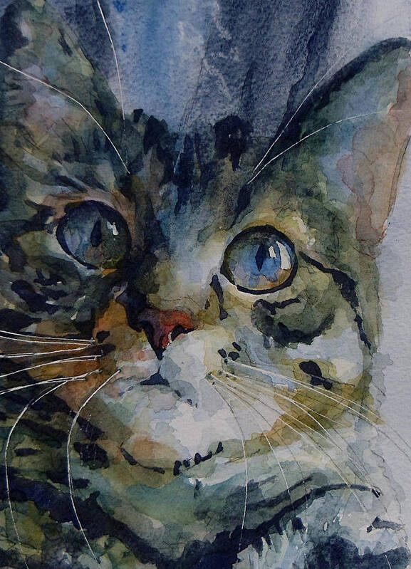 Tabby Poster featuring the painting Mystery Tabby by Paul Lovering