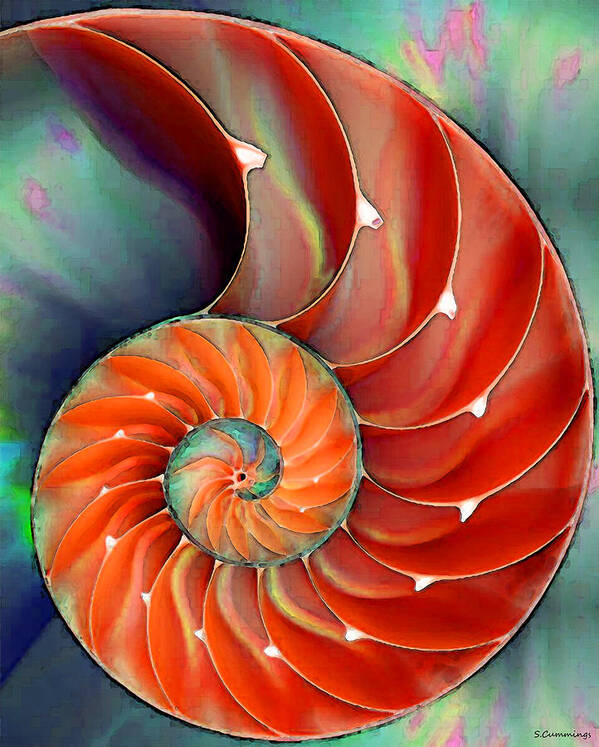 Nautilus Poster featuring the painting Nautilus Shell - Nature's Perfection by Sharon Cummings