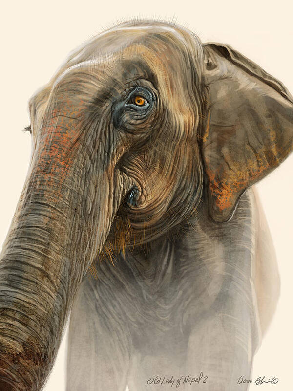 Elephant Poster featuring the digital art Old Lady of Nepal 2 by Aaron Blaise