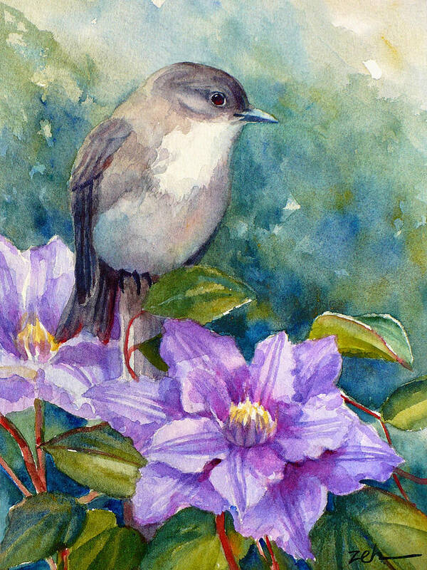 Bird Print Poster featuring the painting Phoebe and Clematis by Janet Zeh