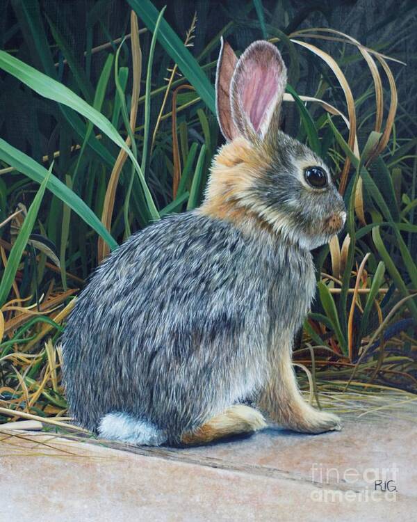 Rabbit Poster featuring the painting Pompey's Pillar Rabbit by Rosellen Westerhoff