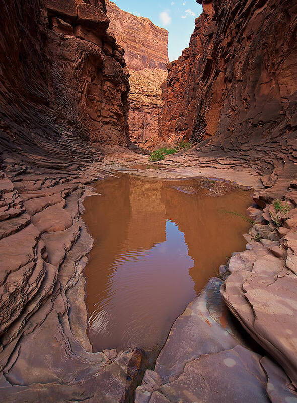 Grand Canyon Poster featuring the photograph Pool of North Canyon by Britt Runyon