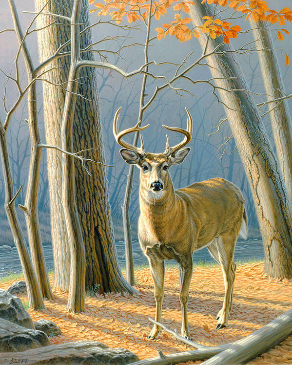 Wildlife Poster featuring the painting Pre-Flight- Whitetail Buck by Paul Krapf