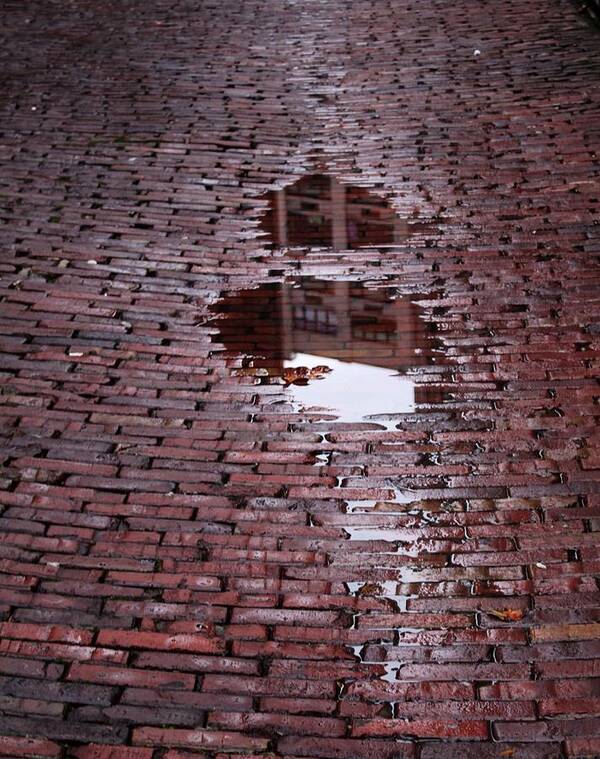 Brick Street Poster featuring the photograph Puddles by Suzanne Lorenz