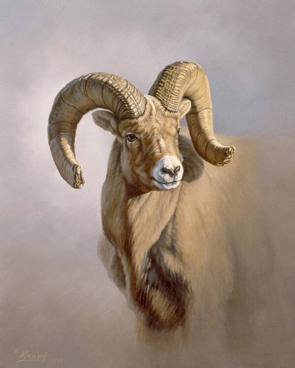 Wildlife Poster featuring the painting Ram Portrait by Paul Krapf