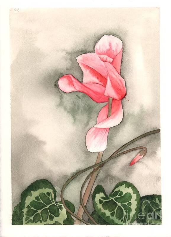 Cyclamen Poster featuring the painting Red Cyclamen by Hilda Wagner