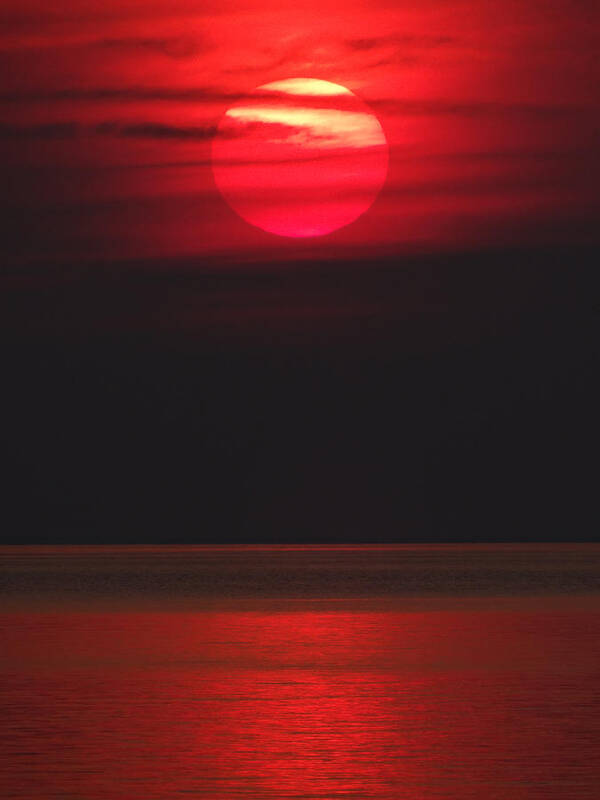 Red Sky Poster featuring the photograph Red Sunset by David T Wilkinson