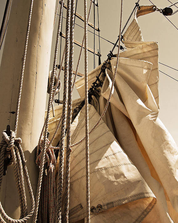 Reefing Poster featuring the photograph Reefing the Mainsail In Sepia by Jani Freimann
