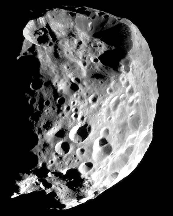 Phoebe Poster featuring the photograph Saturn's Moon Phoebe by Nasa/science Photo Library