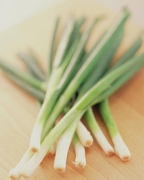 Onion Poster featuring the photograph Spring Onions by William Lingwood/science Photo Library