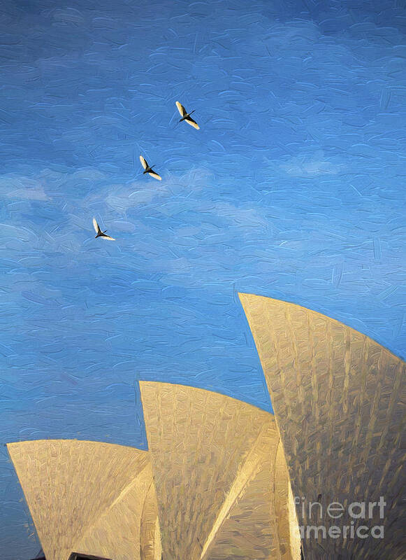 Sydney Opera House Poster featuring the photograph Sydney Opera House with sacred ibis by Sheila Smart Fine Art Photography