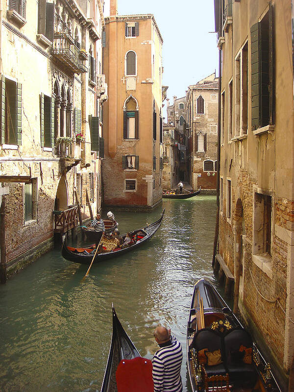 Europe Poster featuring the photograph Venice Gondolas by Karen Zuk Rosenblatt