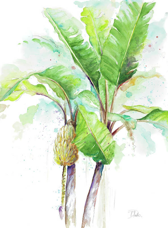 Watercolor Poster featuring the painting Watercolor Banana Plantain by Patricia Pinto