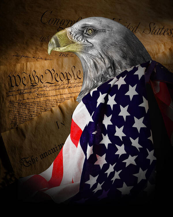 Eagle Poster featuring the photograph We The People by Tom Mc Nemar