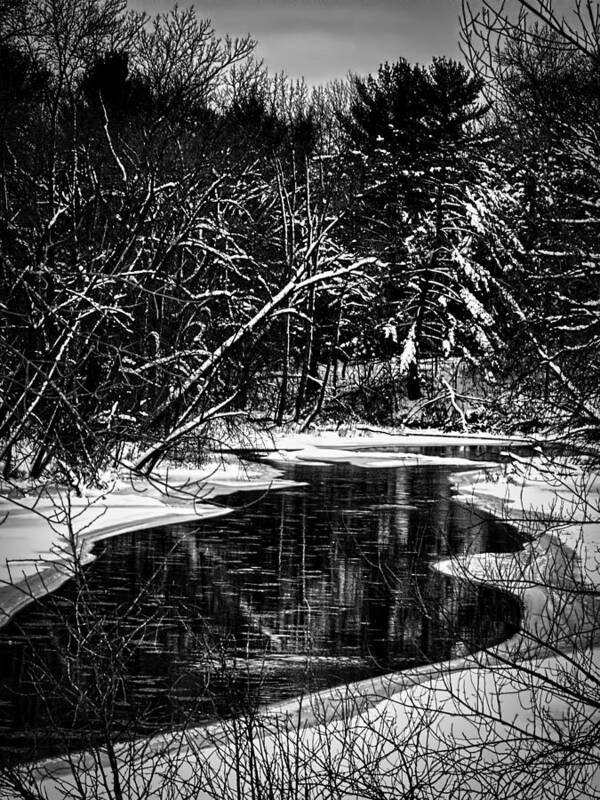 Winter Setting Poster featuring the photograph Winter Solitude by Thomas Young