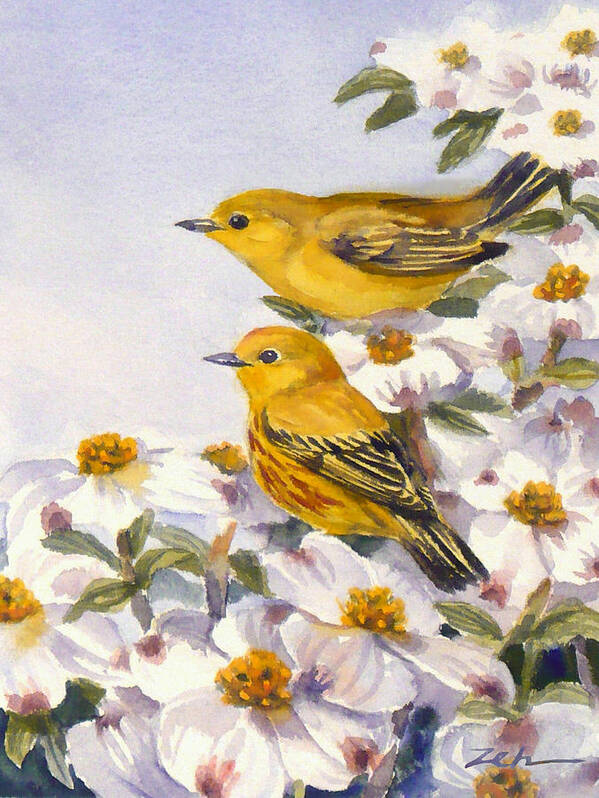 Birds Poster featuring the painting Yellow Warblers by Janet Zeh